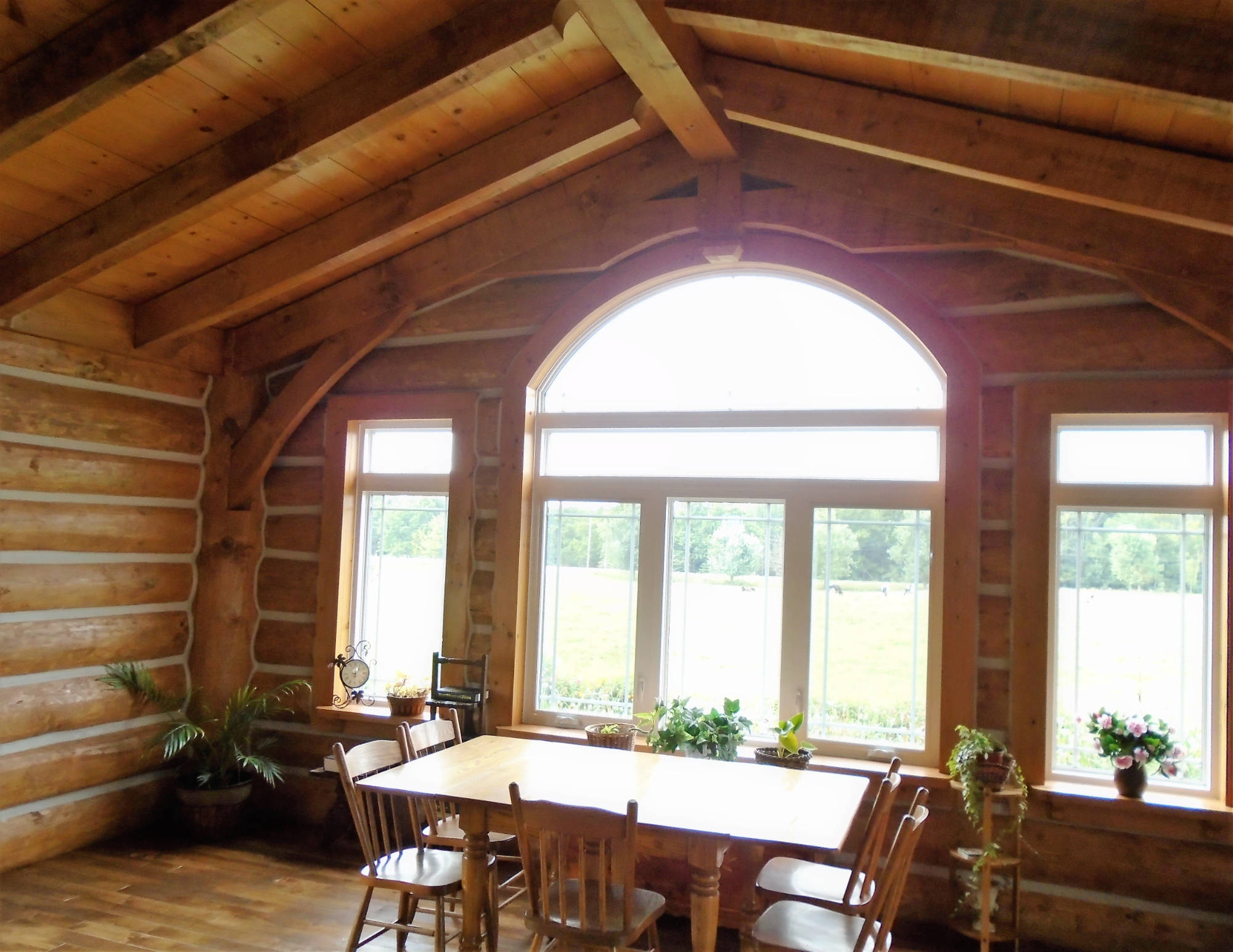 The Log Cabin Sanctuary